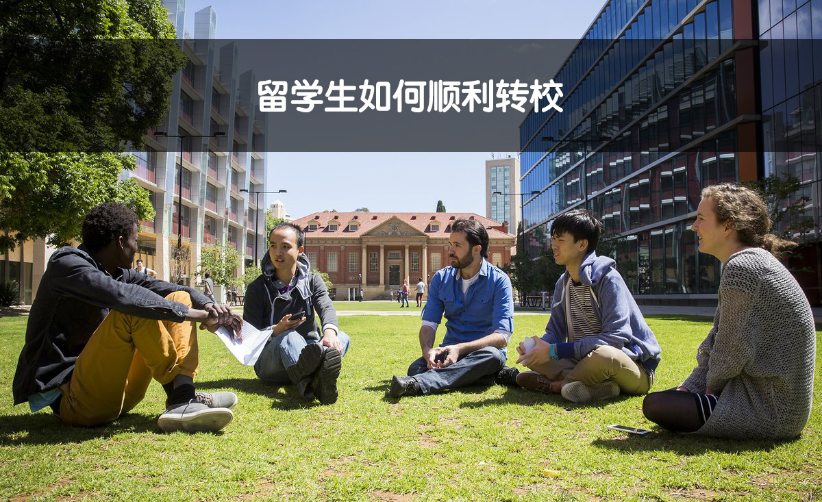 study-transfer.jpg